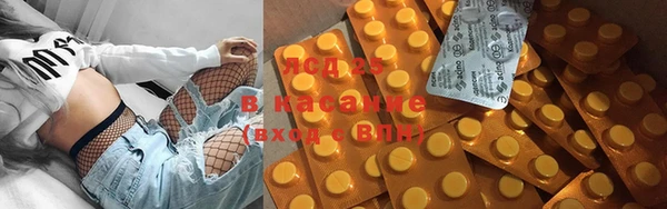 гашик Алексин