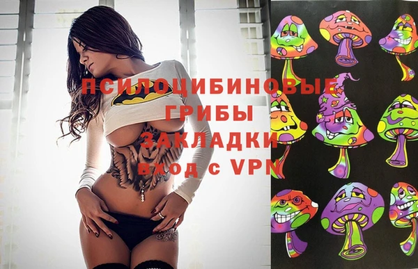 PSILOCYBIN Абинск