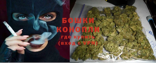 гашик Алексин