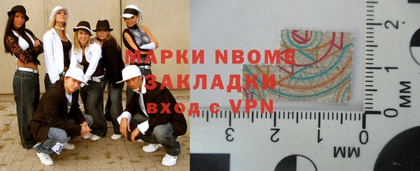 гашик Алексин