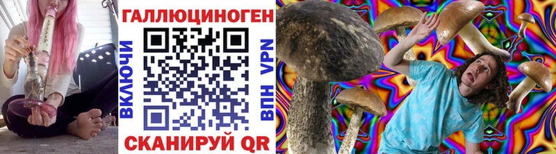 МЕГА   darknet Telegram  Карталы  Псилоцибиновые грибы Psilocybine cubensis  продажа наркотиков 