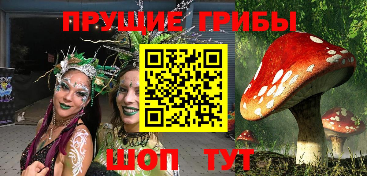 Псилоцибиновые грибы GOLDEN TEACHER  Псилоцибиновые грибы Psilocybine cubensis  Карталы  купить   Вход с VPN 