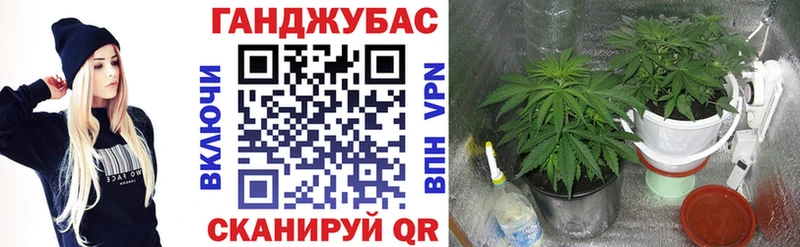 Бошки Шишки план darknet клад Карталы